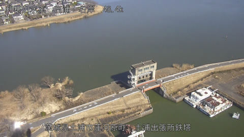 sakura2026020312_image