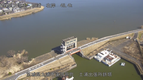 sakura2026021912_image