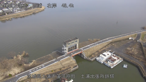 sakura2026022012_image