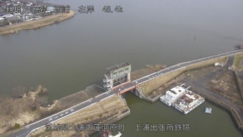 sakura2026022112_image