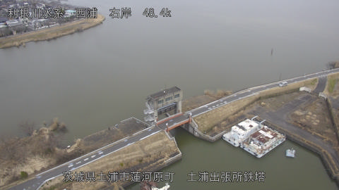 sakura2026022212_image