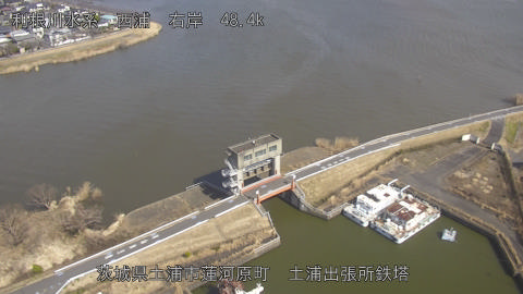 sakura2026022312_image