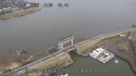 sakura2026022412_image