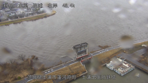 sakura2026022512_image