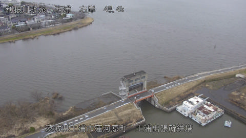 sakura2026022612_image