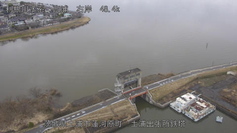 sakura2026022712_image