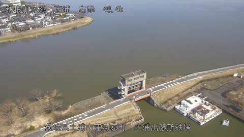 sakura2026022812_image