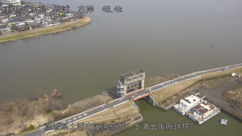 sakura2026030112_image