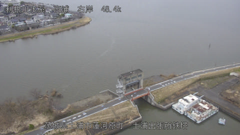 sakura2026030212_image