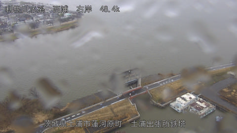 sakura2026030312_image