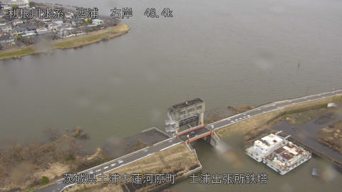 sakura2026030412_image