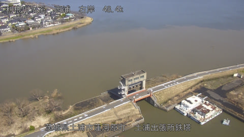 sakura2026030512_image