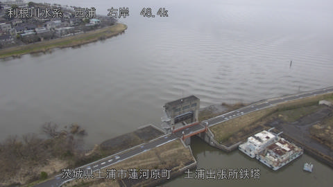 sakura2026030612_image