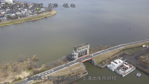 sakura2026030712_image