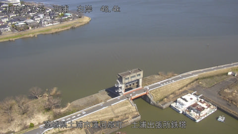 sakura2026030812_image