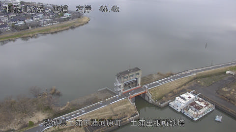 sakura2026030912_image