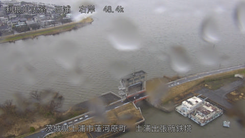 sakura2026031012_image