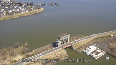 sakura2026031112_image