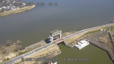 sakura2026031412_image