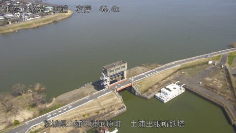 sakura2026031512_image