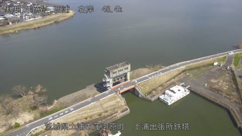 sakura2026031612_image