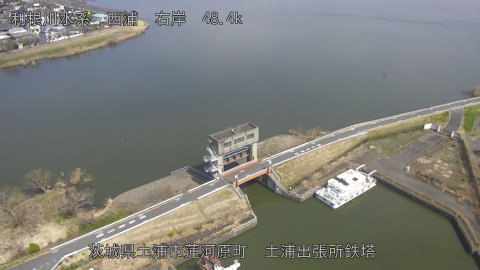 sakura2026031712_image