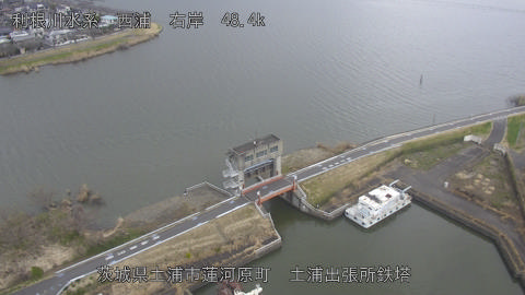 sakura2026031812_image