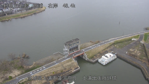 sakura2026031816_image