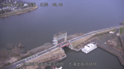 sakura2026031818_image