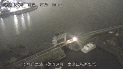 sakura2026031819_image