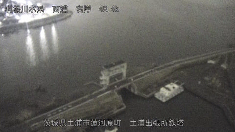 sakura2026031820_image