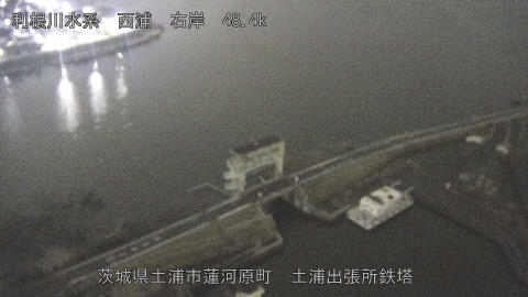 sakura2026031821_image