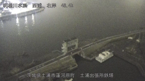 sakura2026031822_image