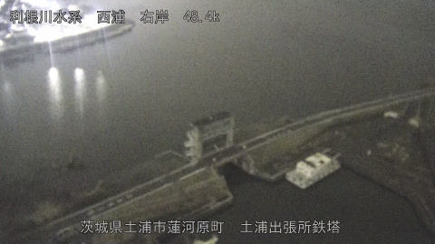 sakura2026031823_image