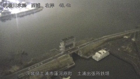 sakura2026031900_image