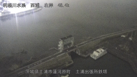 sakura2026031901_image