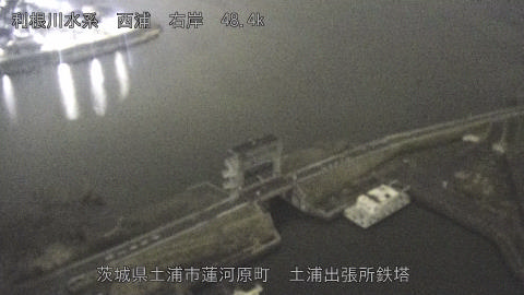 sakura2026031903_image