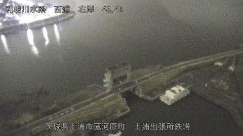 sakura2026031904_image