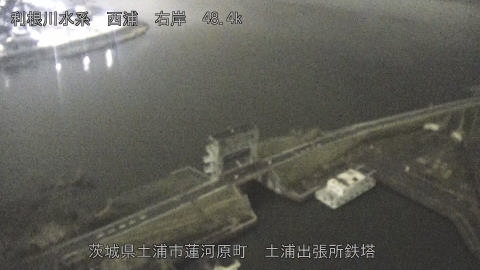 sakura2026031905_image