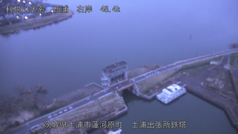 sakura2026031906_image