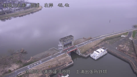 sakura2026031907_image