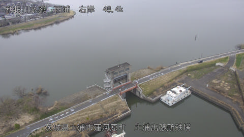 sakura2026031908_image