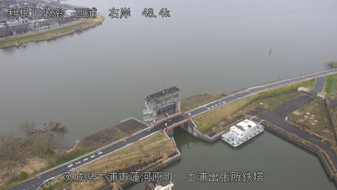 sakura2026031909_image