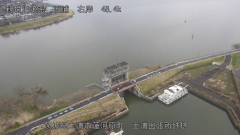 sakura2026031910_image