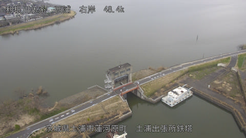 sakura2026031911_image