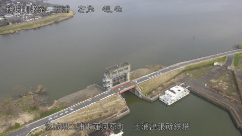 sakura2026031912_image