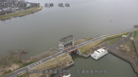 sakura2026031913_image