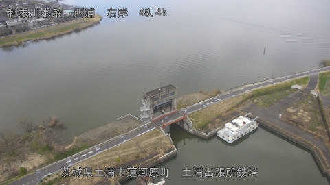 sakura2026031914_image