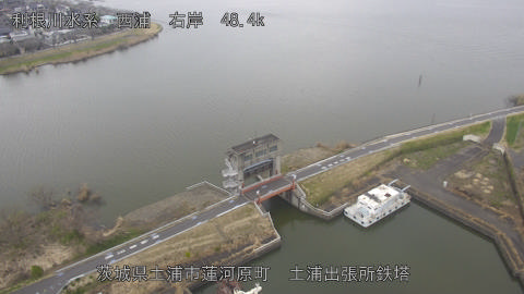 sakura2026031915_image