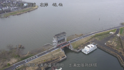 sakura2026031916_image